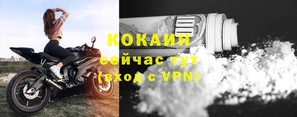 ГАЛЛЮЦИНОГЕННЫЕ ГРИБЫ Вязники
