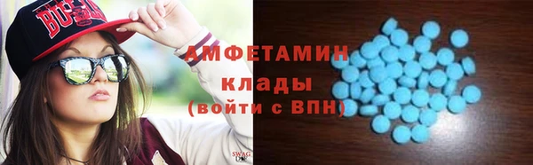 ГАЛЛЮЦИНОГЕННЫЕ ГРИБЫ Вязники