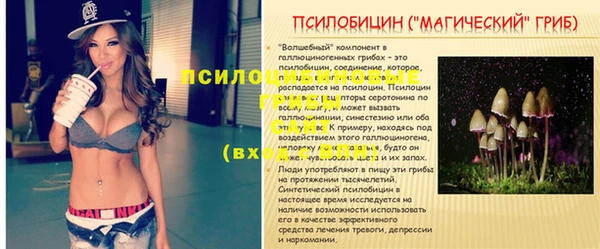 ГАЛЛЮЦИНОГЕННЫЕ ГРИБЫ Вязники