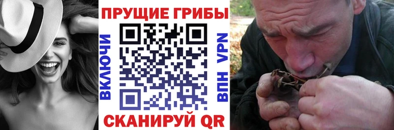 Галлюциногенные грибы мухоморы  Духовщина 
